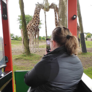 wildlands-2021-safari-giraffe